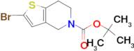 tert-Butyl 2-bromo-6,7-dihydrothieno[3,2-c]pyridine-5(4H)-carboxylate