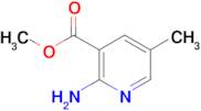 Methyl 2-amino-5-methylnicotinate