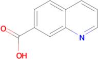 7-Quinolinecarboxylic acid