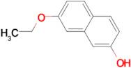 7-Ethoxy-2-naphthalenol