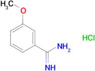 3-Methoxybenzamidine hydrochloride