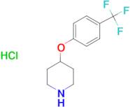 4-(4-Trifluoromethylphenoxy)piperidine hydrochloride