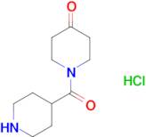 1-(piperidine-4-carbonyl)piperidin-4-one hydrochloride