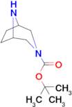 3-Boc-3,8-Diazabicyclo[3.2.1]octane