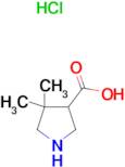 4,4-Dimethylpyrrolidine-3-carboxylic acid hydrochloride