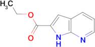 Ethyl 1H-pyrrolo[2,3-b]pyridine-2-carboxylate