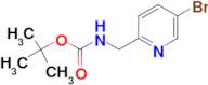 (5-Bromopyridin-2-ylmethyl)carbamic acid tert-butyl ester