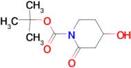 tert-Butyl 4-hydroxy-2-oxopiperidine-1-carboxylate