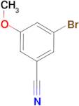 3-Bromo-5-methoxybenzonitrile