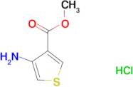 Methyl 4-aminothiophene-3-carboxylate hydrochloride