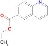 Ethyl quinoline-6-carboxylate