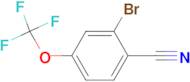 2-Bromo-4-(trifluoromethoxy)benzonitrile