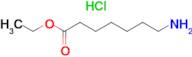 7-Aminoheptanoic acid ethyl ester hydrochloride