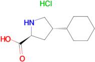 trans-4-Cyclohexyl-L-proline hydrochloride
