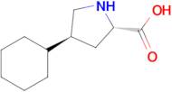 (2S,4S)-4-Cyclohexylpyrrolidine-2-carboxylic acid
