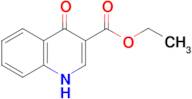 Ethyl 4-hydroxyquinoline-3-carboxylate