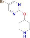 5-Bromo-2-(piperidin-4-yloxy)pyrimidine