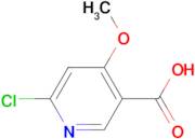 6-Chloro-4-methoxynicotinic acid
