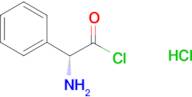 (R)-(-)-2-Phenylglycine chloride hydrochloride