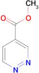 Methyl pyridazine-4-carboxylate