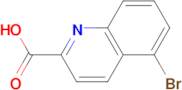 5-Bromoquinoline-2-carboxylic acid