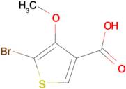 5-Bromo-4-methoxythiophene-3-carboxylic acid