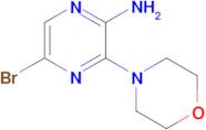 2-Amino-5-bromo-3-morpholin-4-ylpyrazine
