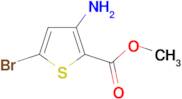 5-Bromo-3-aminothiophene-2-carboxylic acid methyl ester