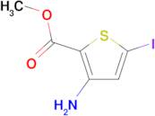 Methyl 3-amino-5-iodo-2-thiophenecarboxylate