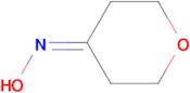 Tetrahydropyran-4-one oxime