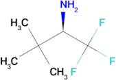 (R)-2,2-Dimethyl-1-trifluoromethyl-propylamine