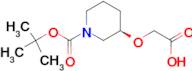 (R)-3-Carboxymethoxy-piperidine-1-carboxylic acid tert-butyl ester