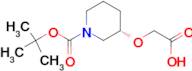 (S)-3-Carboxymethoxy-piperidine-1-carboxylic acid tert-butyl ester