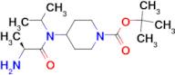 4-[((S)-2-Amino-propionyl)-isopropyl-amino]-piperidine-1-carboxylic acid tert-butyl ester