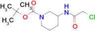 3-(2-Chloro-acetylamino)-piperidine-1-carboxylic acid tert-butyl ester