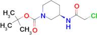 (R)-3-(2-Chloro-acetylamino)-piperidine-1-carboxylic acid tert-butyl ester