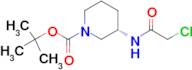 (S)-3-(2-Chloro-acetylamino)-piperidine-1-carboxylic acid tert-butyl ester