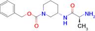 (S)-3-((S)-2-Amino-propionylamino)-piperidine-1-carboxylic acid benzyl ester