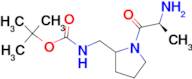 [1-((S)-2-Amino-propionyl)-pyrrolidin-2-ylmethyl]-carbamic acid tert-butyl ester