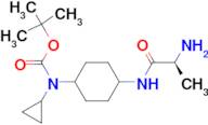 [4-((S)-2-Amino-propionylamino)-cyclohexyl]-cyclopropyl-carbamic acid tert-butyl ester