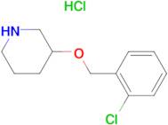 3-(2-Chloro-benzyloxy)-piperidine hydrochloride