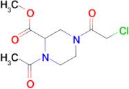 1-Acetyl-4-(2-chloro-acetyl)-piperazine-2-carboxylic acid methyl ester