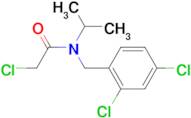 2-Chloro-N-(2,4-dichloro-benzyl)-N-isopropyl-acetamide