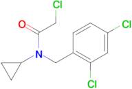 2-Chloro-N-cyclopropyl-N-(2,4-dichloro-benzyl)-acetamide