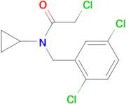 2-Chloro-N-cyclopropyl-N-(2,5-dichloro-benzyl)-acetamide