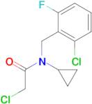 2-Chloro-N-(2-chloro-6-fluoro-benzyl)-N-cyclopropyl-acetamide