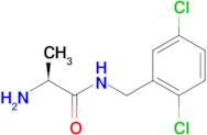 (S)-2-Amino-N-(2,5-dichloro-benzyl)-propionamide