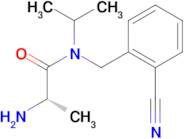 (S)-2-Amino-N-(2-cyano-benzyl)-N-isopropyl-propionamide