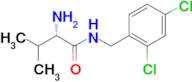 (S)-2-Amino-N-(2,4-dichloro-benzyl)-3-methyl-butyramide