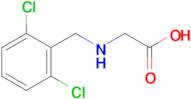 (2,6-Dichloro-benzylamino)-acetic acid